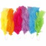 Veren, diverse kleuren, L: 11-17 cm, 18 bol/ 1 doos