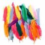 Veren Verschillende Kleuren - Decoratieve Gekleurde Veren - Knutselveren - Hobby Veren - Knutselveren - Sierveren - 12-15cm - 350 stuks