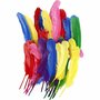 Veren Verschillende Kleuren - Decoratieve Gekleurde Veren - Knutselveren - Hobby Veren - Knutselveren - Sierveren - 20cm - 36 stuks