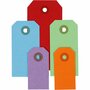 Cadeaulabels - Diverse Kleuren - Kartonnen Labels - Perfect voor Cadeaus & DIY - Met Gaatjes voor Lint - Mix van 3x6 cm, 4x8 cm & 5x10 cm - 220 gr - 500 Stuks