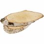 Houten Schijven - Ovale Berkenhouten Schijven Met Schors - DIY Houtdecoratie & Handwerk - Ideaal Voor Creatieve Projecten & Schilderen - Hoogwaardige Kwaliteit - Dikte 15 mm - Set van 7 Stuks in 1 Doo