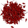 Kaarsenverf - Kleurpigment - Rood - Colortime - 10 gram