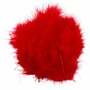 Donsveren Rood - Super Zachte Veertjes - Decoratieve Rode Veren - Knutselveren - Hobby Veren - Knutselveren - Sierveren - 5-12 cm - 15 Stuks