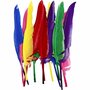Kunstveren Gekleurd - Decoratieve Gekleurde Veren - Knutselveren - Hobby Veren - Knutselveren - Sierveren - 27 cm - 12 Stuks