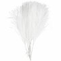 Kunstveren - Witte Polyester Veren - DIY Decoratie Veren Set - Knutselmateriaal - Hobby Veren - Creatieve Projecten - Lengte 15x8 cm - Set van 10 stuks