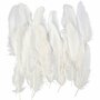 Ganzenveren Wit - Decoratieve Witte Veren - Knutselveren - Hobby Veren - Knutselveren - Sierveren - 10-18 cm - Set van 70 Stuks