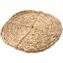 Waterverf - Donkergroen Navulset - 16x44 mm - Hoogwaardige Waterverf Voor Schilderprojecten - Set van 6 Stuks - Kunstschildersverf - Pigmentrijk - DIY Schilderen