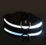 LED Hondenhalsband  Lichtgevende Hondenhalsband  Veiligheidshalsband Hond  Glow In The Dark Halsband  Fluorescerende Hondenhalsband  Zichtbaarheid En Veiligheid Hond In Het Donker  Nylon Hondenh