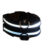 LED Hondenhalsband  Lichtgevende Hondenhalsband  Veiligheidshalsband Hond  Glow In The Dark Halsband  Fluorescerende Hondenhalsband  Zichtbaarheid En Veiligheid Hond In Het Donker  Nylon Hondenh