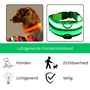 LED Hondenhalsband  Lichtgevende Hondenhalsband  Veiligheidshalsband Hond  Glow In The Dark Halsband  Fluorescerende Hondenhalsband  Zichtbaarheid En Veiligheid Hond In Het Donker  Nylon Hondenh