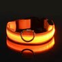 LED Hondenhalsband  Lichtgevende Hondenhalsband  Veiligheidshalsband Hond  Glow In The Dark Halsband  Fluorescerende Hondenhalsband  Zichtbaarheid En Veiligheid Hond In Het Donker  Nylon Hondenh