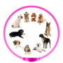 LED Hondenhalsband  Lichtgevende Hondenhalsband  USB Hondenhalsband  Veiligheidshalsband Hond  Glow In The Dark Halsband  Knipperende LED Halsband  Oplaadbare Hondenhalsband  Micro USB Halsband