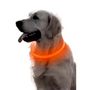 LED Hondenhalsband  Lichtgevende Hondenhalsband  USB Hondenhalsband  Veiligheidshalsband Hond  Glow In The Dark Halsband  Knipperende LED Halsband  Oplaadbare Hondenhalsband  Micro USB Halsband