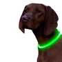 LED Hondenhalsband  Lichtgevende Hondenhalsband  USB Hondenhalsband  Veiligheidshalsband Hond  Glow In The Dark Halsband  Knipperende LED Halsband  Oplaadbare Hondenhalsband  Micro USB Halsband