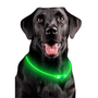 LED Hondenhalsband  Lichtgevende Hondenhalsband  USB Hondenhalsband  Veiligheidshalsband Hond  Glow In The Dark Halsband  Knipperende LED Halsband  Oplaadbare Hondenhalsband  Micro USB Halsband
