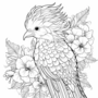 Kleurboek vogels en bloemen  Natuur kleurboek  Kleurboek natuur  Creatief Kleurboek Natuur  Vogel kleurboek - Kinderen en Volwassenen - Colorbook Birds And Flowers - 20x20cm - 20 Tekeningen