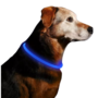 LED Hondenhalsband  Lichtgevende Hondenhalsband  USB Hondenhalsband  Veiligheidshalsband Hond  Glow In The Dark Halsband  Knipperende LED Halsband  Oplaadbare Hondenhalsband  Micro USB Halsband