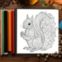 Kleurboek Dieren Mandala - Mandala Kleurplaten Dieren - Kleurboek Volwassenen Dieren - Ontspanning Mandala Patronen - Mandala Tekeningen Dieren - Mandala Animals Paradise - 20 Kleurplaten - 20x20cm