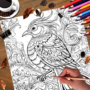Kleurboek Mooie Vogels  Vogel Kleurboek  Kleurboek Vogels  Kleurplaten Vogels  Kleurboek Natuur  Kleurboek Volwassenen Vogels   Vogels Inkleuren  Vogels Tekeningen  22 Kleurplaten  20x20 cm