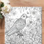 Kleurboek Mooie Vogels  Vogel Kleurboek  Kleurboek Vogels  Kleurplaten Vogels  Kleurboek Natuur  Kleurboek Volwassenen Vogels   Vogels Inkleuren  Vogels Tekeningen  22 Kleurplaten  20x20 cm