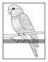 Kleurboek 100 Animals - Jade Summer - Kleurboek Dieren Mandala's - Dieren Mandala Kleurboek - Kleurboek Dieren - Kleurboek Volwassenen En Tieners - 100 Kleurplaten Dieren Patronen - Incl. 1 Alcoholmarker