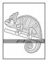 Kleurboek 100 Animals - Jade Summer - Kleurboek Dieren Mandala's - Dieren Mandala Kleurboek - Kleurboek Dieren - Kleurboek Volwassenen En Tieners - 100 Kleurplaten Dieren Patronen - Incl. 1 Alcoholmarker
