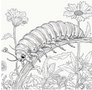 Kleurboek Insectenwereld - Vlinders Libelle Bijen - Kleurboek Volwassenen En Tieners - Natuur Kleurplaten - Insecten Illustraties - 20x20cm - 28 Unieke Ontwerpen