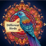 Kleurboek Vogels - Natuur Kleurboek - Kleurboek Natuur - Creatief Kleurboek Natuur - Vogel Kleurboek - Kinderen en Volwassenen - Colorbook Birds - 20x20cm - 22 Tekeningen