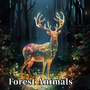 Bosdieren Kleurboek - Forest Animals - Volwassenen En Tieners Kleurboek - Eekhoorns Wolven Egels Herten Vlinders Kleurplaten - 22x22cm - 20 Natuur Kleurplaten