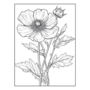 Bloemen Kleurboek - Bloemen Kleurplaten - Volwassenen En Kinderen Bloemboeketten - Kleurboek Natuur Wilde Bloemen - 21,59 x 21,59 cm - 40 Kleurplaten