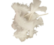 Donsveren Wit - Super Zachte Kalkoendons - Fijn Donsmateriaal - Creatieve Dons voor DIY Decoraties - Hoogwaardige Witte Dons - 7-8 cm - 500 gram