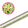 Studio Ins & Outs - Animalistic - Set Van 2 Washi Tapes - Masking Tape - Dierenprint & Neon Strepen - Journaling & Scrapbooking